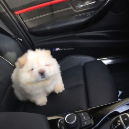 48578