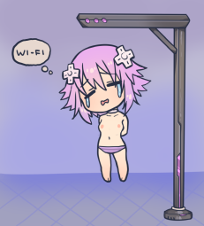 244954