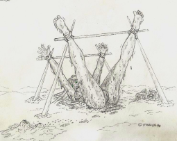 120294
