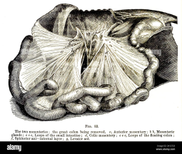 354394