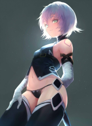 84646