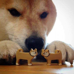 29094