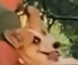 15280