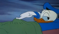 25626