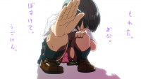 304423