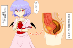 76062