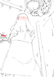 13727647